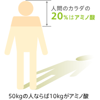 人間のカラダの20%はアミノ酸