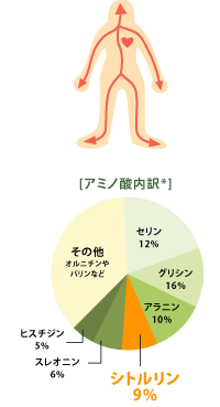 注目