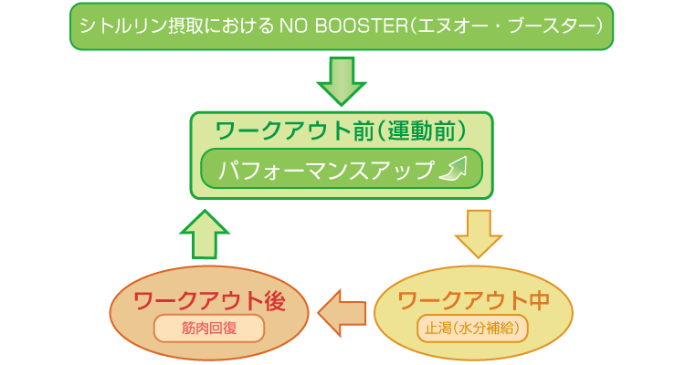 理想的なワークアウト前(運動前)