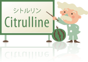 シトルリン 博士