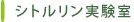 �V�g������������